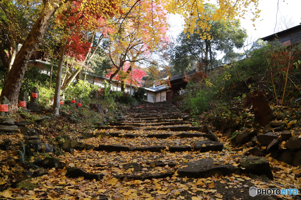 2019　定光寺にて