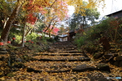 2019　定光寺にて