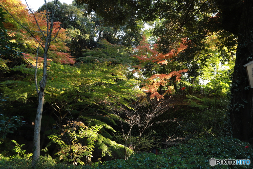 2019　徳川園にて