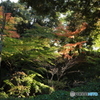 2019　徳川園にて