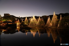 2019　白鳥庭園にて