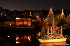 2019　白鳥庭園にて