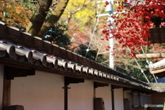 2019　定光寺にて