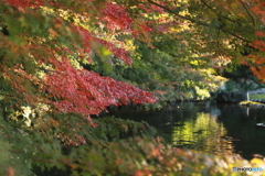 2019　徳川園にて