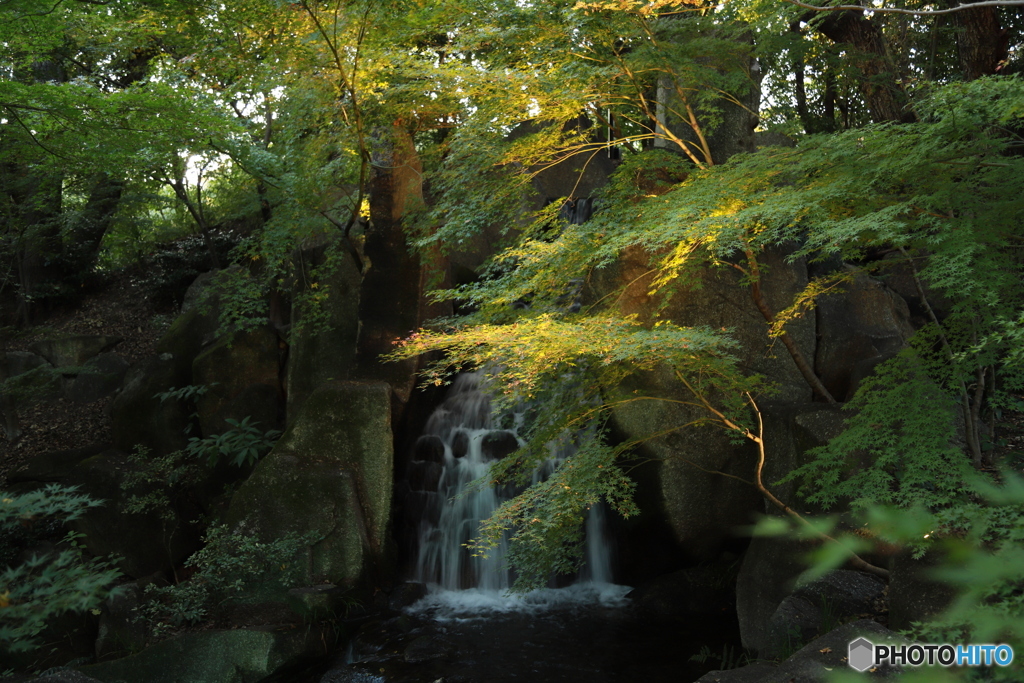 2019　徳川園にて
