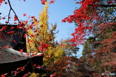 2019　定光寺にて