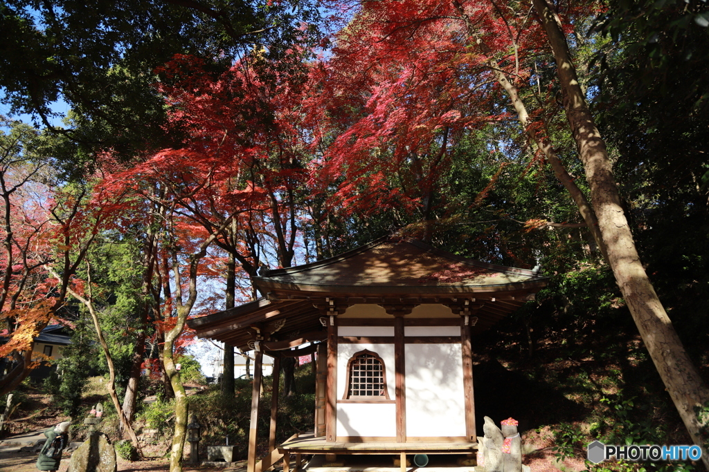 2019　定光寺にて