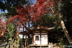 2019　定光寺にて