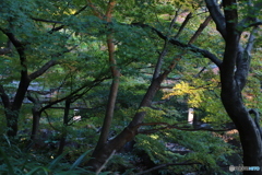 2019　徳川園にて