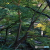 2019　徳川園にて