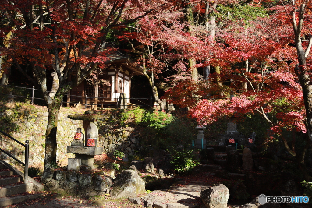 2019　定光寺にて
