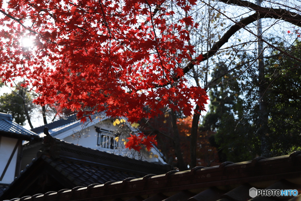 2019　定光寺にて