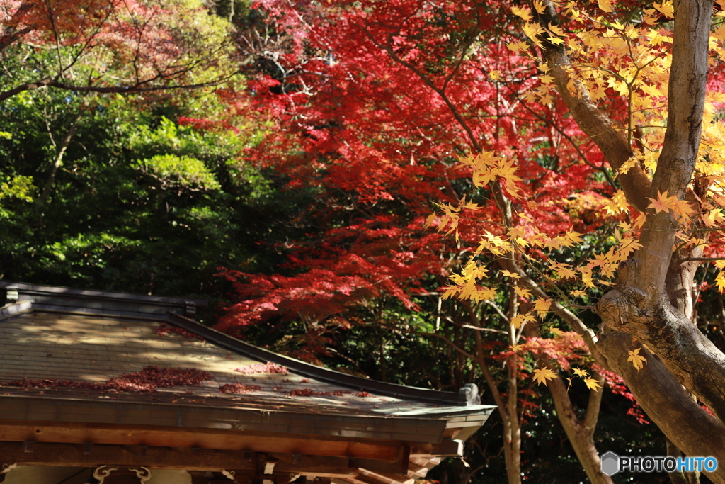 2019　定光寺にて