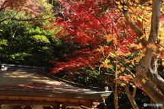 2019　定光寺にて