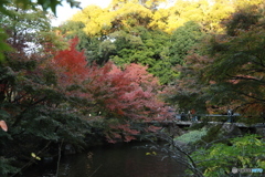 2019　徳川園にて