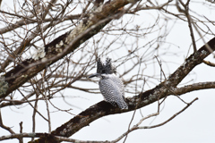 背面越しの見返り美人！