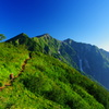 陽光浴びる登山道