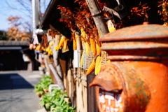 冬の田舎町
