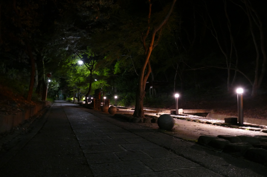 響けユーフォニアム！聖地「宇治」