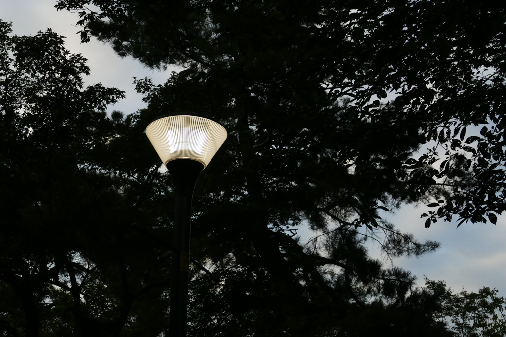 響けユーフォニアム！聖地「宇治」