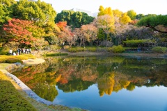 皇居東御苑の紅葉