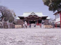 亀戸天神