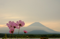 花歌