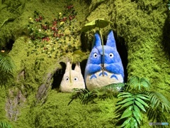 中トトロと小トトロ