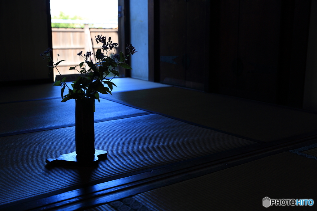 東大寺 指図堂にて