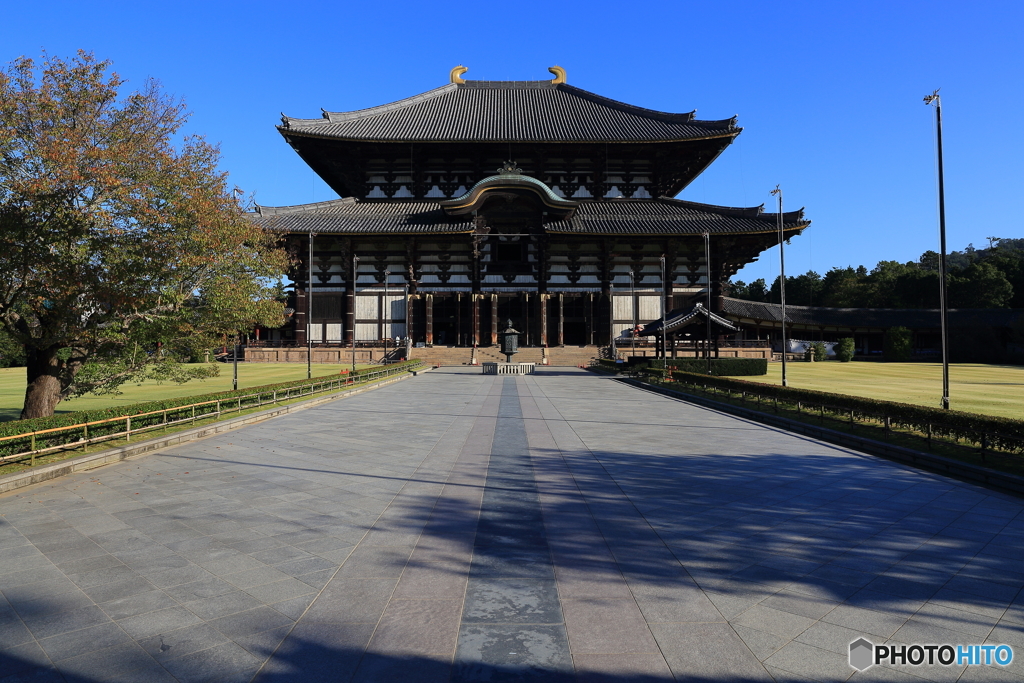 東大寺 大仏殿（金堂）
