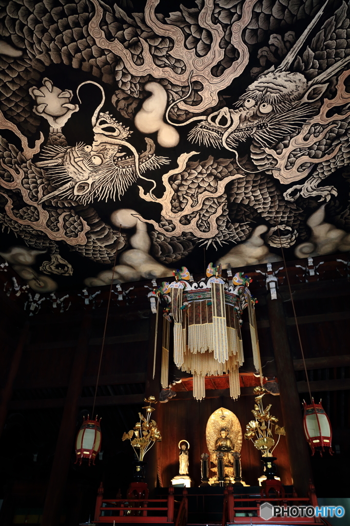 建仁寺　法堂　双龍天井画