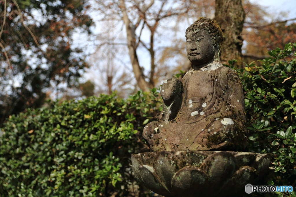 深大寺 境内にて