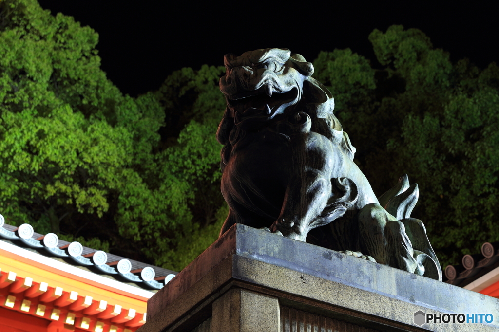 八坂神社の狛犬