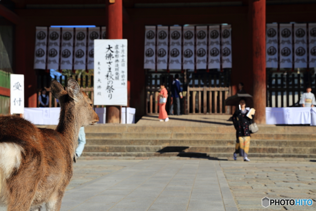 東大寺 中門前にて