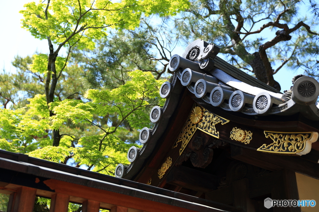 妙心寺