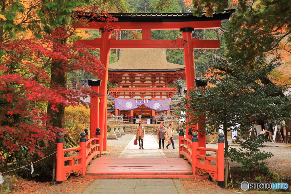 丹生都比売神社