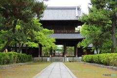 建仁寺　三門