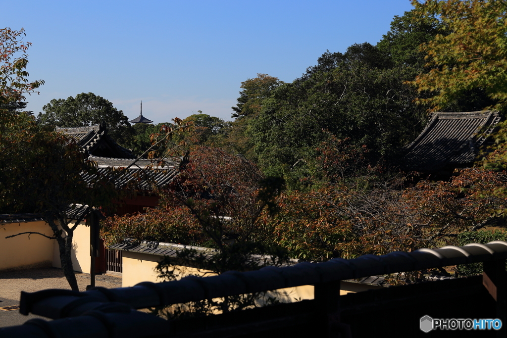 東大寺  指図堂にて