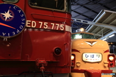 ED75形式電気機関車&クハ481形式電車