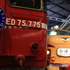 ED75形式電気機関車&クハ481形式電車