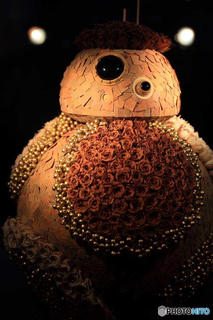 BB-8 byニコライ・バーグマン