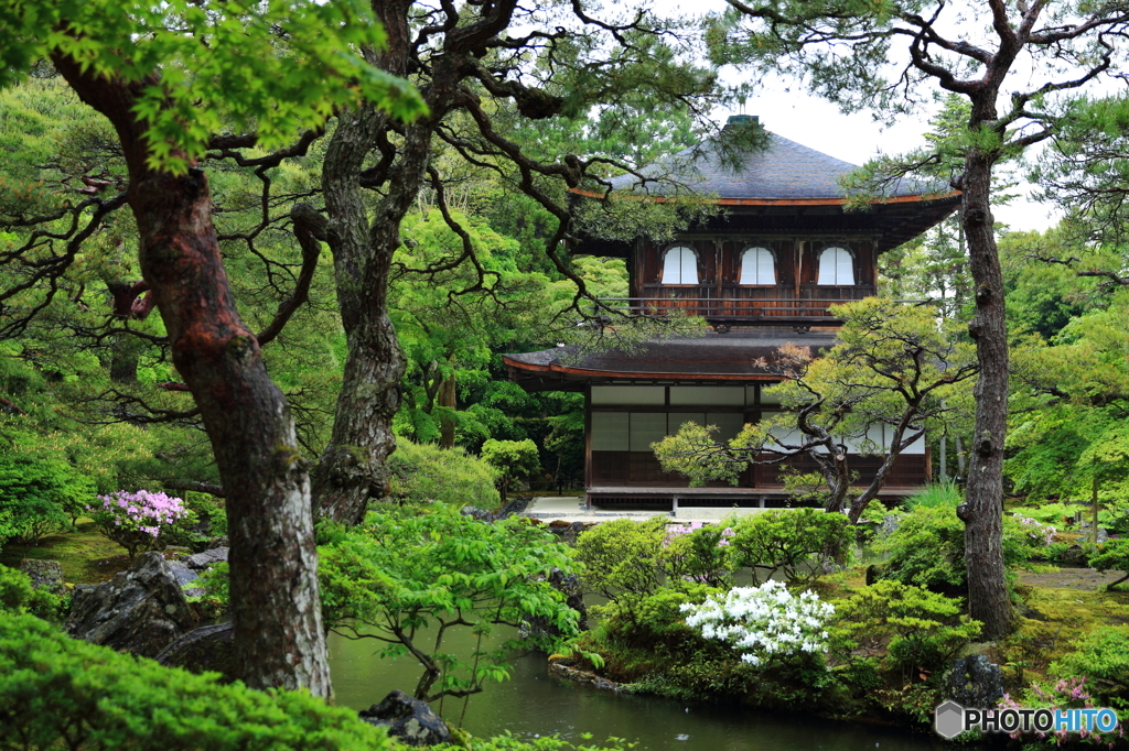 慈照寺　観音堂