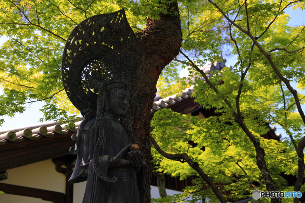 妙心寺