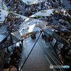 IMG_0049J