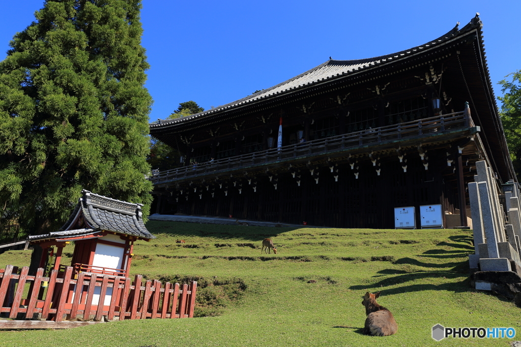 東大寺 二月堂