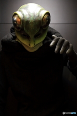 IMG_0870J