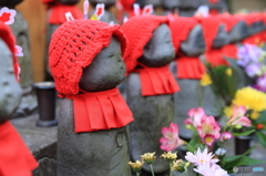 さる寺榮閑院