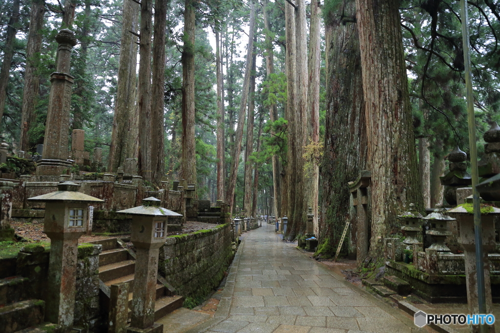 奥之院 参道