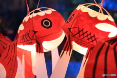 柳井金魚ちょうちん