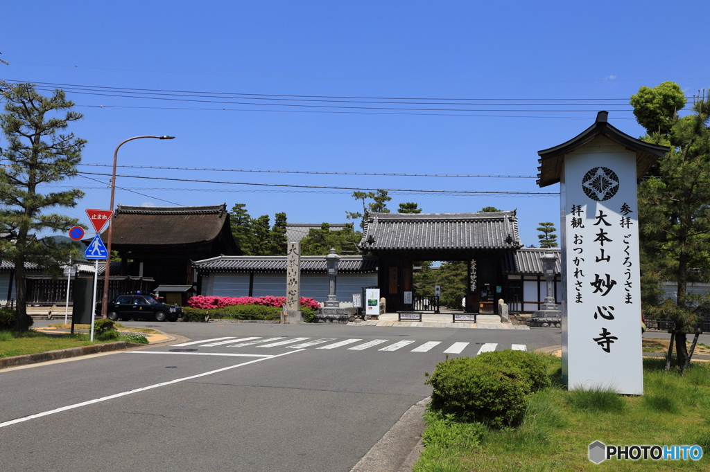 妙心寺